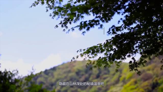 【问政问需在基层】易红磊代表:“内增强+外融入”提高客货现代服务 提升对外开放水平